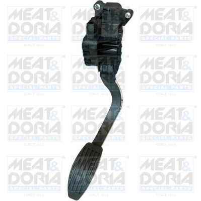 Accelerator Pedal Unit